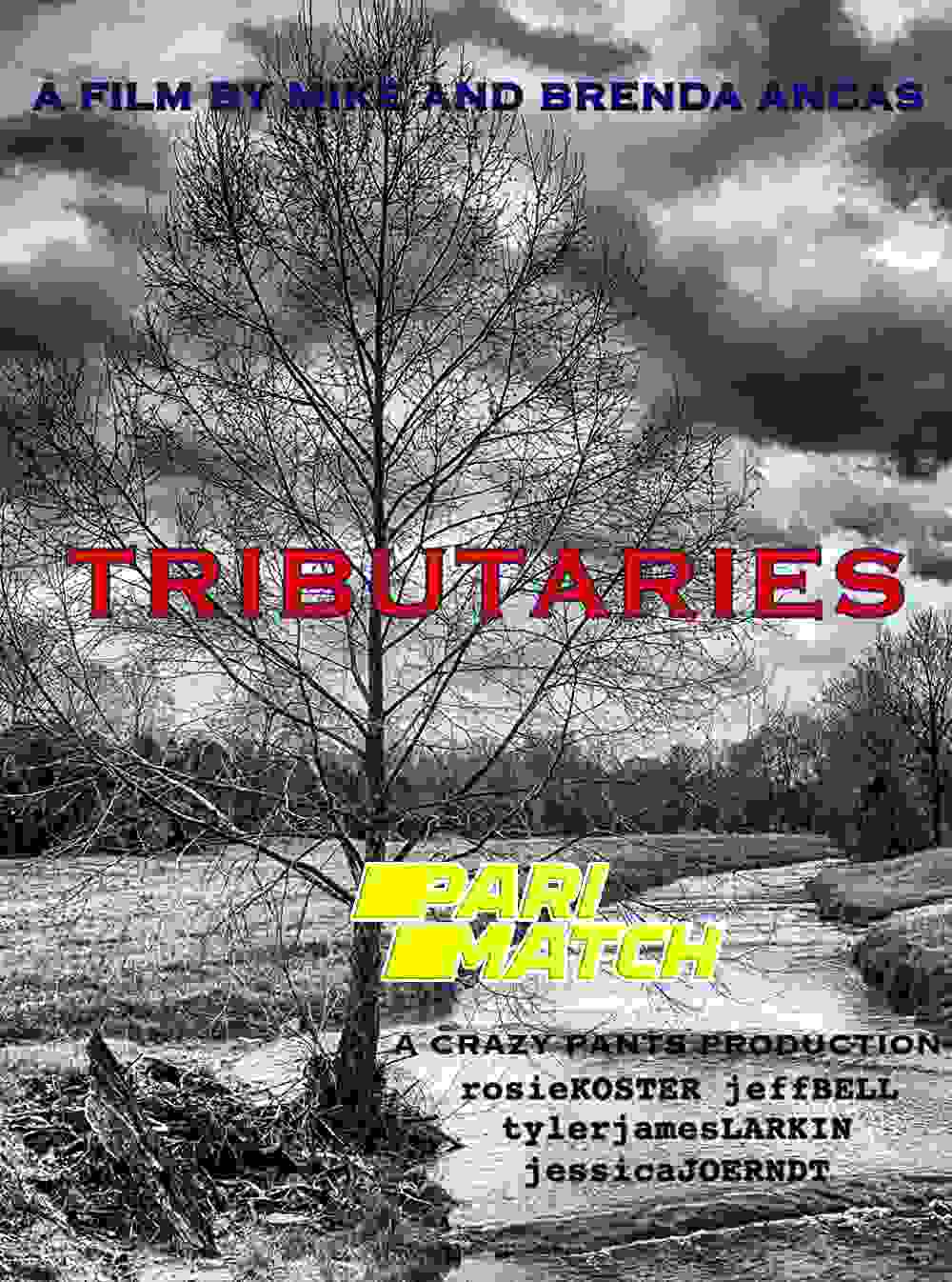 Tributaries (2021) Unofficial Hindi Dubbed