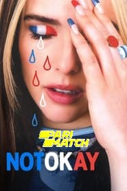 Not Okay (2022) Unofficial Hindi Dubbed
