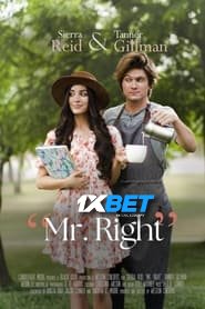 Mr. Right (2023) Unofficial Hindi Dubbed